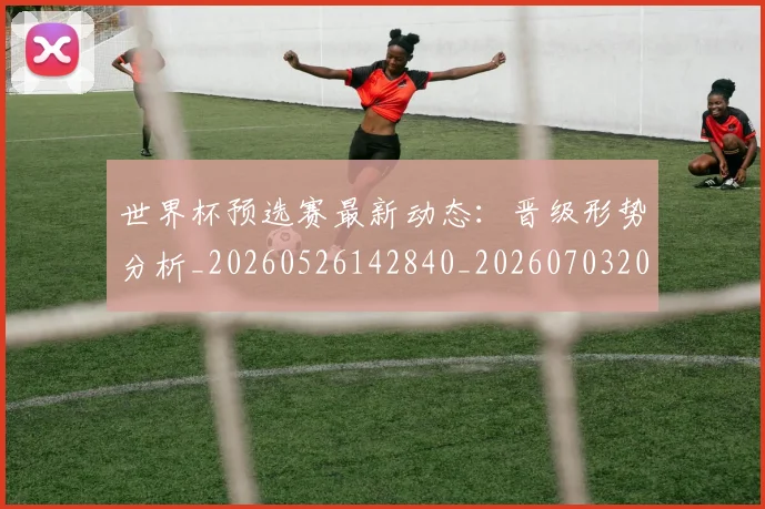 世界杯预选赛最新动态:晋级形势分析_20260526142840_20260703203916