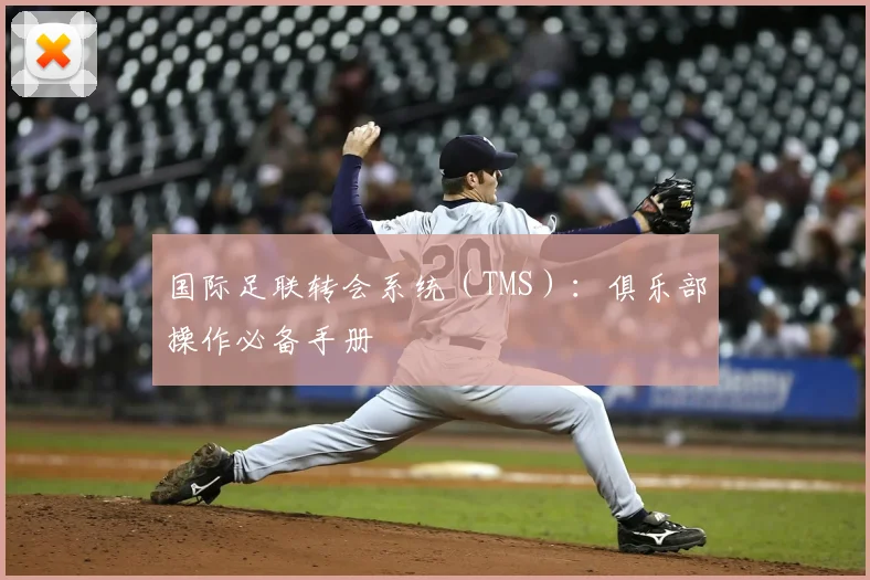 国际足联转会系统（TMS）：俱乐部操作必备手册